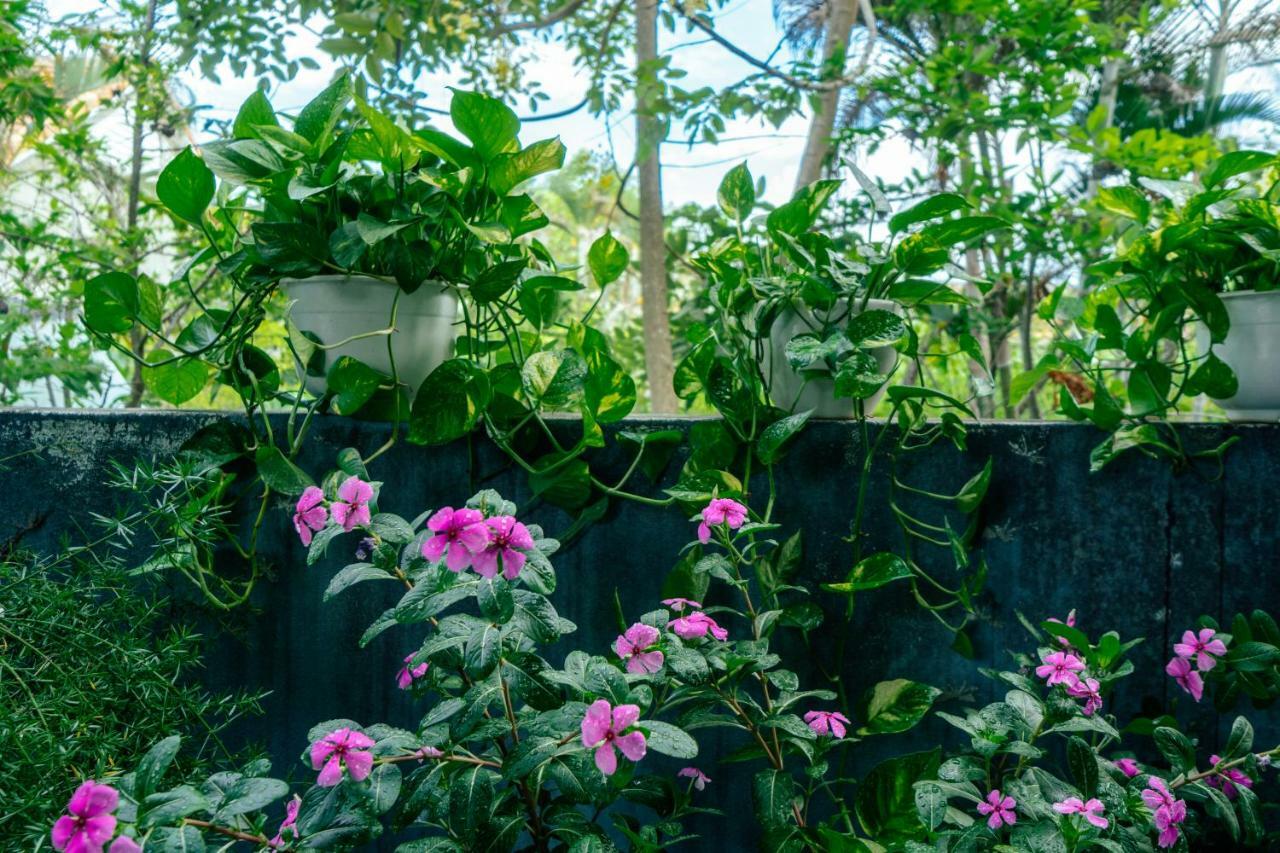 Green Bud Hostel And Homestay Hoi An Bagian luar foto